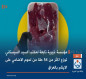مؤسسة خيرية تابعة لمكتب السيد السيستاني توزع اكثر من 54 طنا من لحوم الاضاحي على الايتام بالعراق